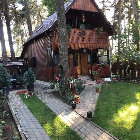 Inchirieri cabana- “Chalet Rustique” Covasna Exterior foto